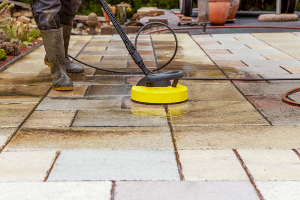 Animal Enclosure Cleaning in Holiday City Berkeley, NJ